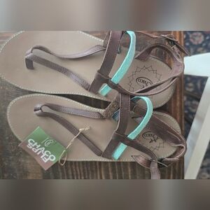 Brand New Chaco Loveland Sandal